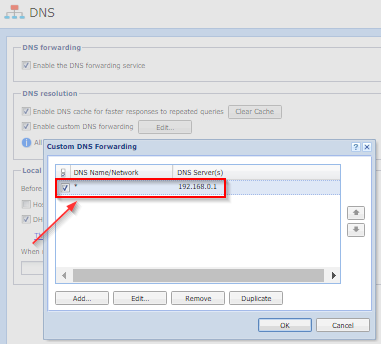 custom_dns_forward.png